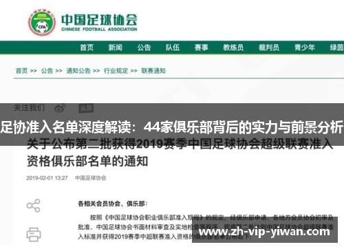 足协准入名单深度解读：44家俱乐部背后的实力与前景分析